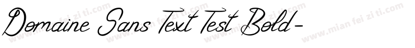 Domaine Sans Text Test Bold字体转换